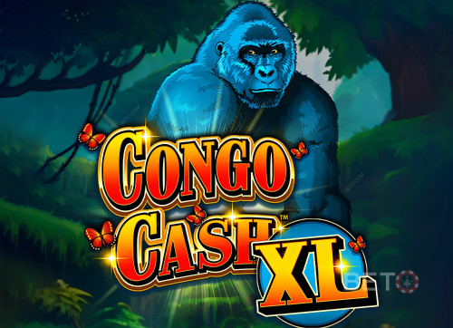 Congo Cash XL