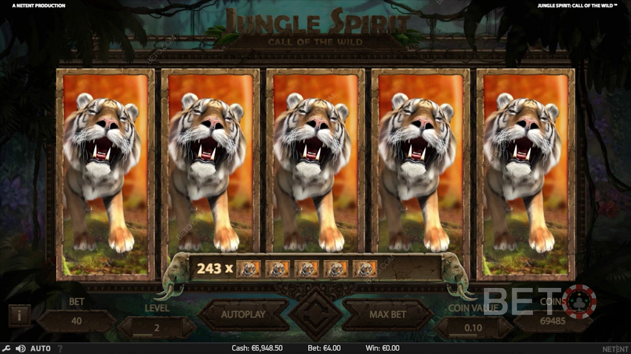 Legjobb nyeremény az ingyenes pörgetések során Jungle Spirit: Call of the Wild