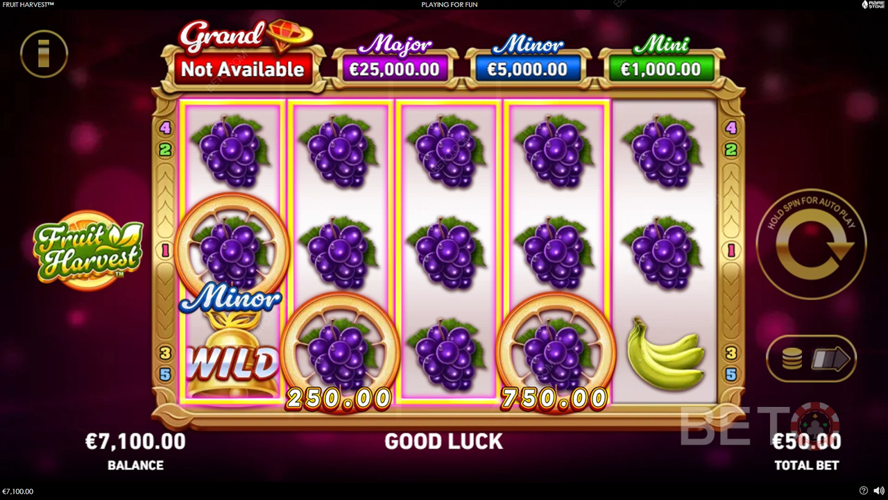 Bónusz funkciók magyarázata a Fruit Harvest által Rarestone Gaming
