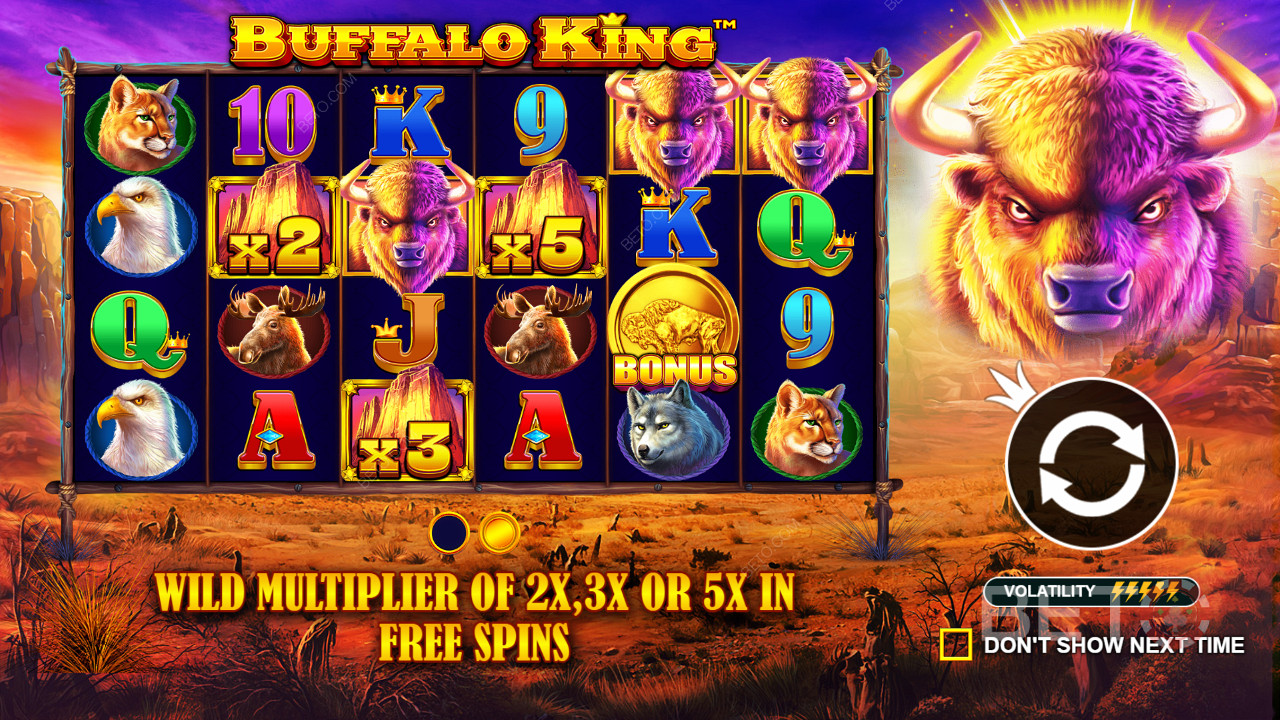 Minden vad szimbólum 2x, 3x vagy 5x szorzóval rendelkezik a játékban. Buffalo King