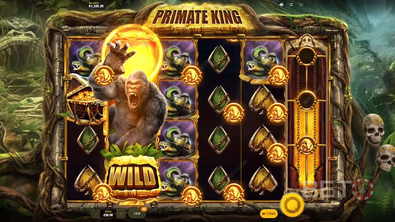 Primate King a Red Tiger Gaming oldalról rengeteg nagyszerű bónusz funkcióval van megtöltve.