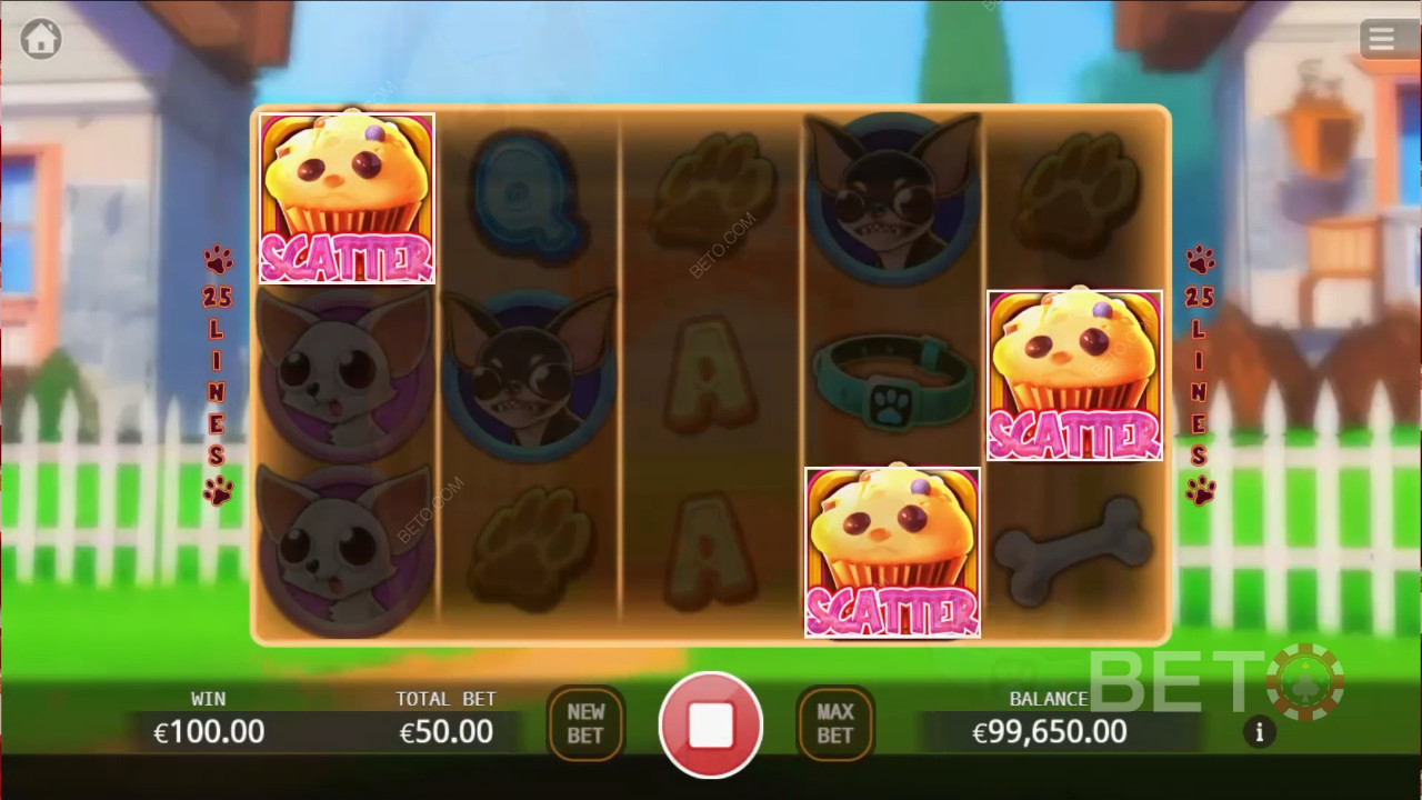 Chihuahua Party felülvizsgálata BETO Slots által