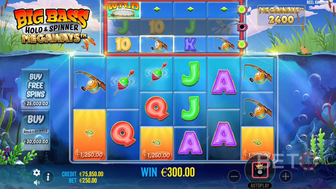 Hogyan kell játszani Reel Kingdom