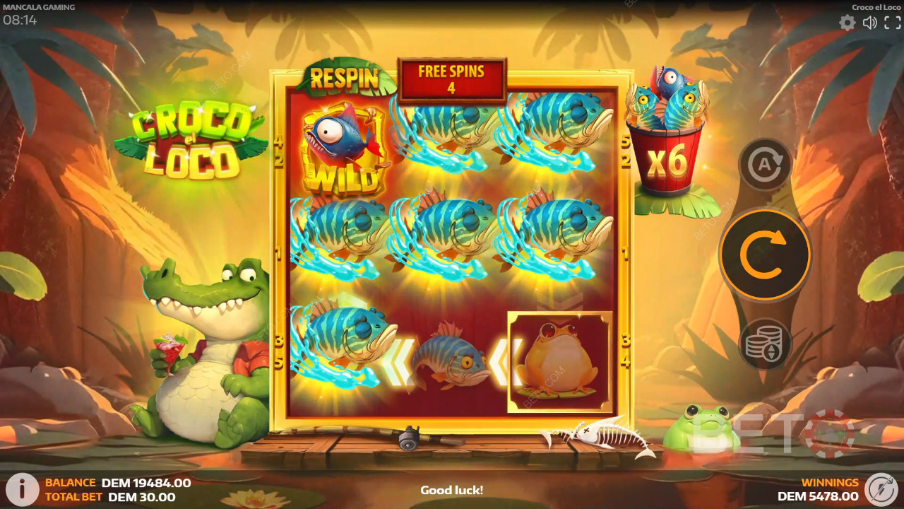 Croco el Loco felülvizsgálata BETO Slots által