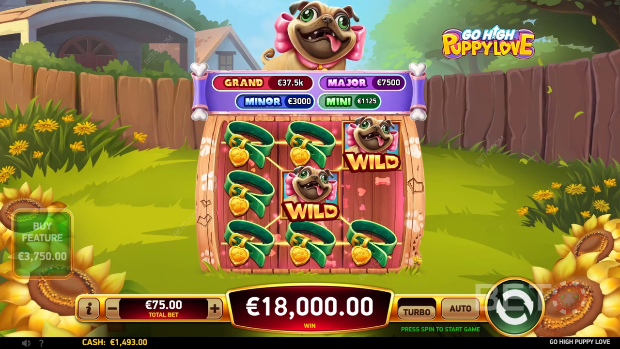 Go High Puppy Love felülvizsgálata BETO Slots által