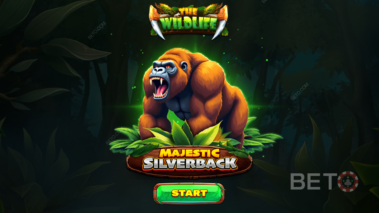 A bónusz funkciók magyarázata a Majestic Silverback-ban Spinomenal