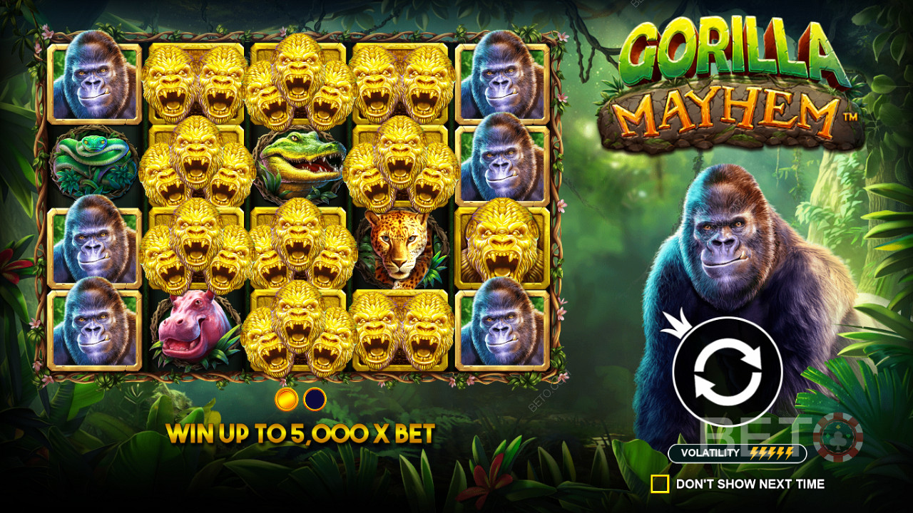 A Golden Gorilla szimbólumok fontos szerepet játszanak a Gorilla Mayhem nyerőgépben.