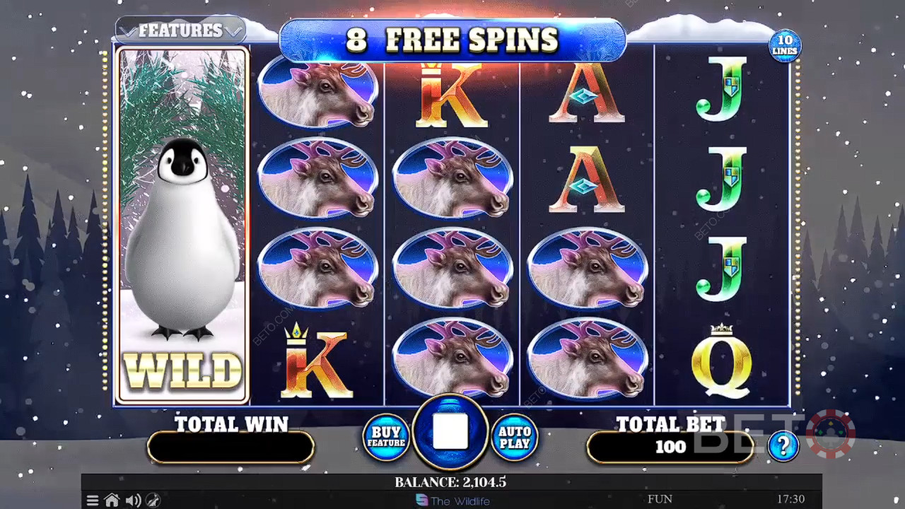 Wild Penguin felülvizsgálata BETO Slots által
