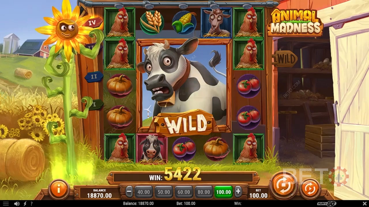 Animal Madness felülvizsgálata BETO Slots által