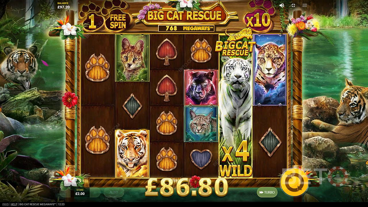 Big Cat Rescue Megaways felülvizsgálat BETO Slots által