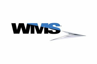 Ingyenes WMS Online Nyerőgépek és Kaszinó Játékok (2024)