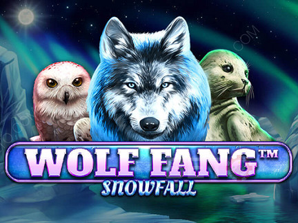 Wolf Fang Snowfall Demó