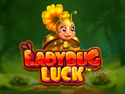 Ladybug Luck  Demó