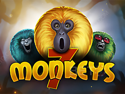 7 Monkeys  Demó