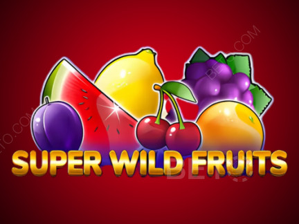 Super Wild Fruits Demó