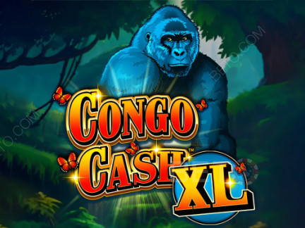 Congo Cash XL Demó
