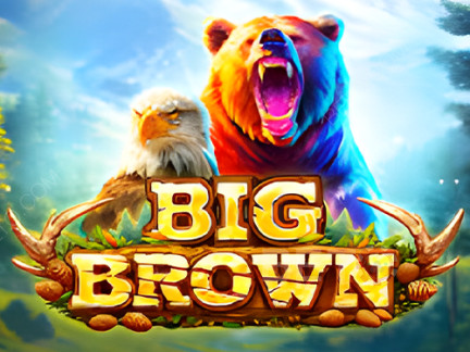 Big Brown Demó