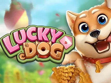 Lucky Dog Demó