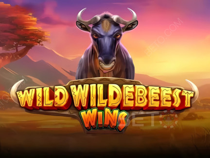 Wild Wildebeest Wins Demó