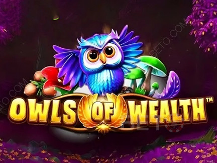 Owls of Wealth Demó