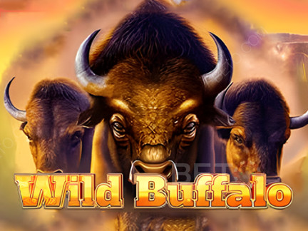 Wild Buffalo Demó