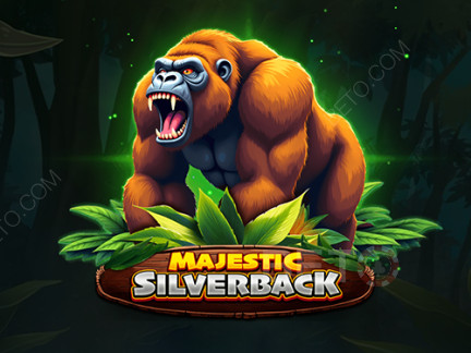 Majestic Silverback Demó