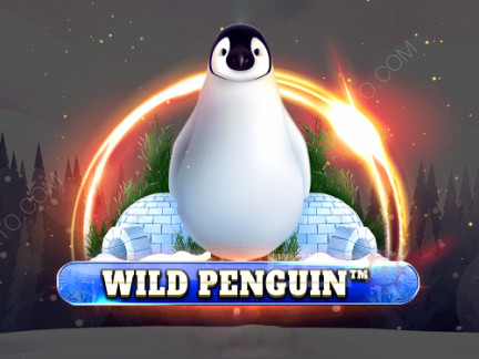 Wild Penguin Demó
