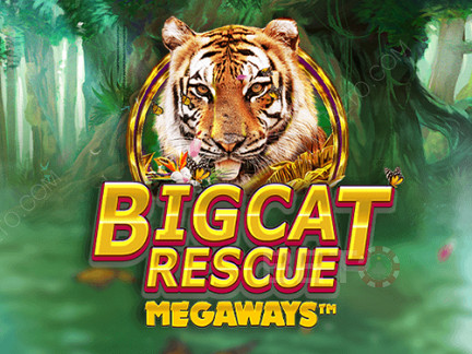 Big Cat Rescue Megaways Demó